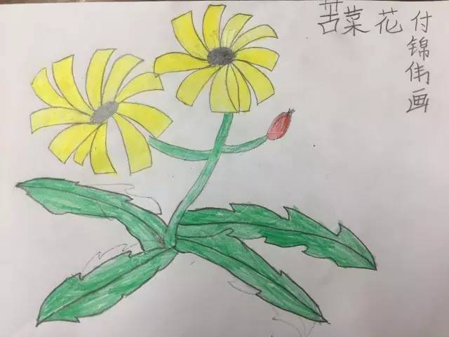 野菜简笔画大全彩色图片