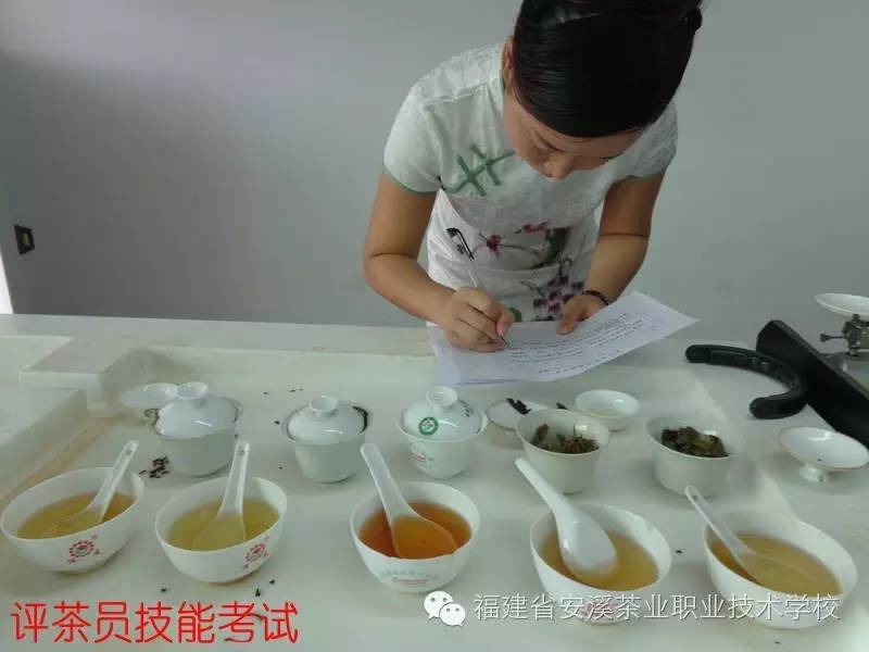 安溪茶校將於6月30日舉行國家一級二級評茶師,茶藝師,茶葉加工師鑑定