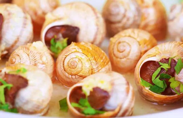 食用蜗牛(escargot)