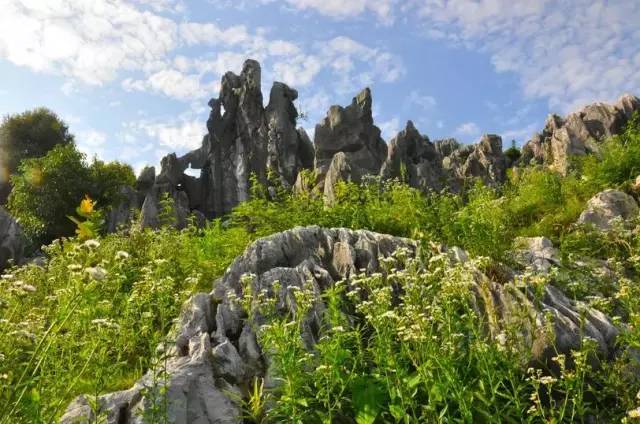 4御窯廠遺址公園景區5皇窯景區6雙龍灣景區(該圖雅醫拍攝)7冷水尖景區