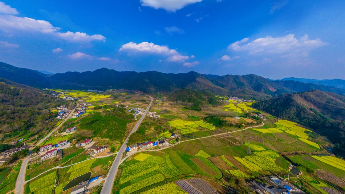 七都镇更新三甲村八棚村新棚村