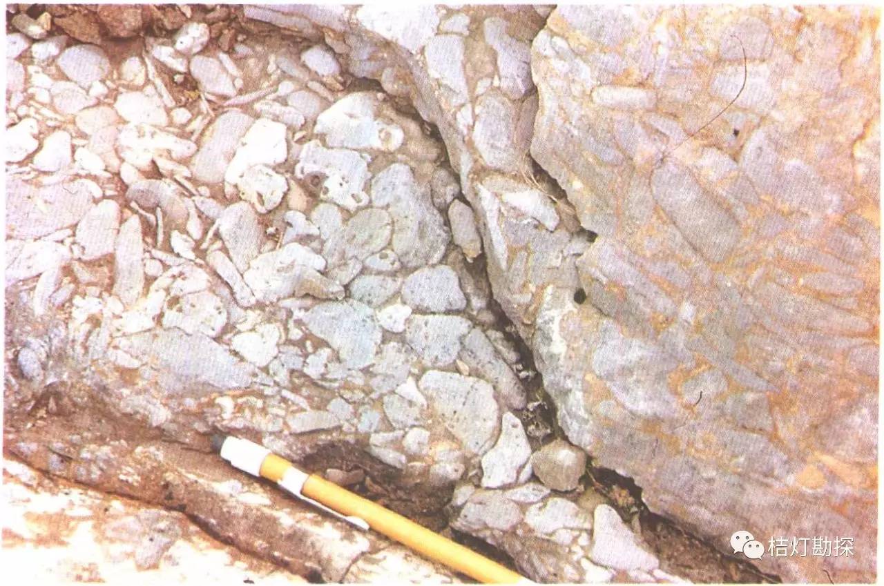生物碎屑灰岩结构图片