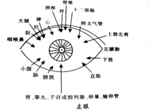 目診:通過眼睛看全身