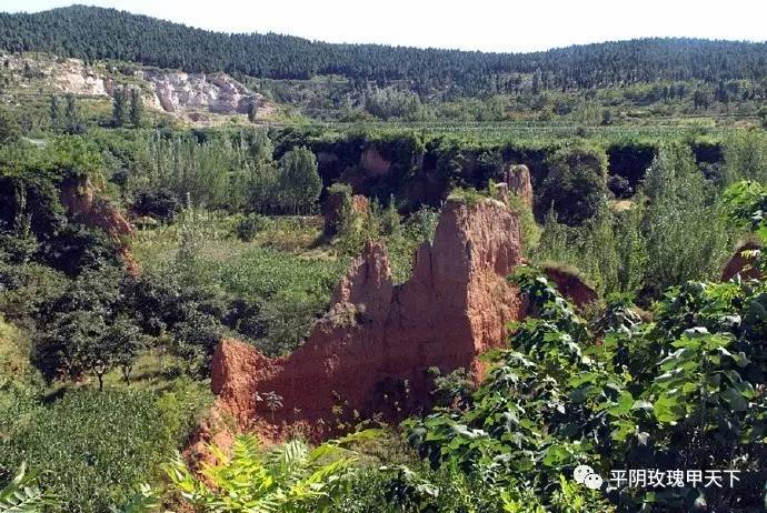 鎮在平陰叫黃河玫瑰湖國家級溼地公園有一座