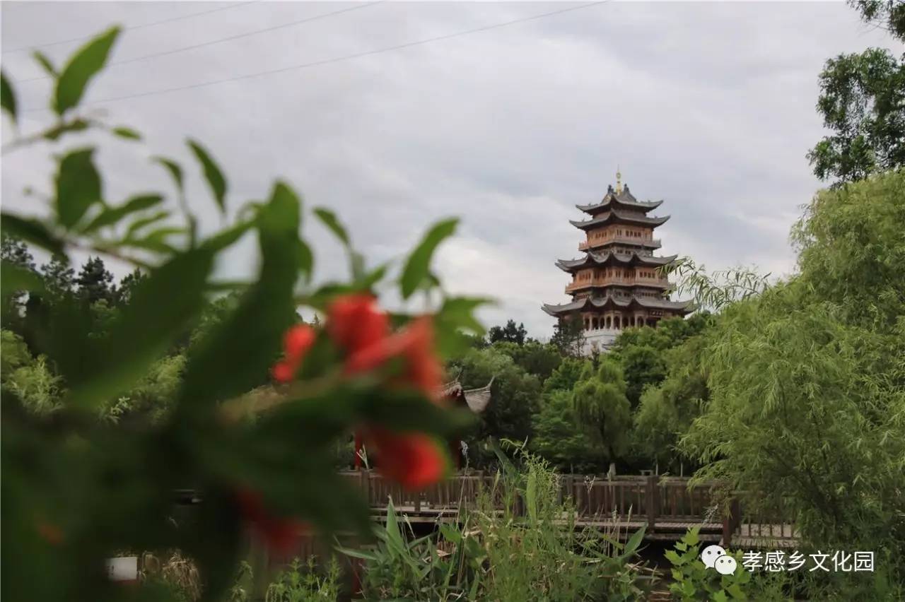 孝感鄉文化園,等你在這夏日花開