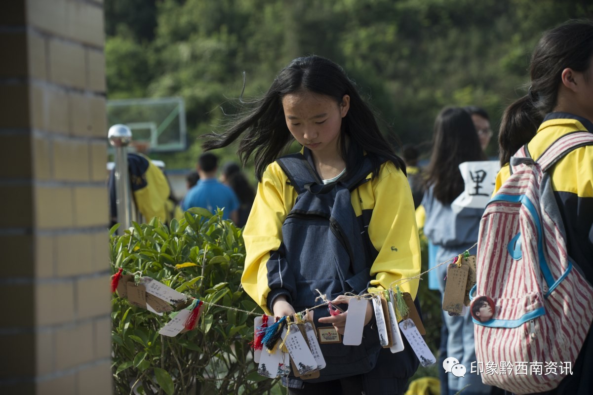 阳光书院校花图片