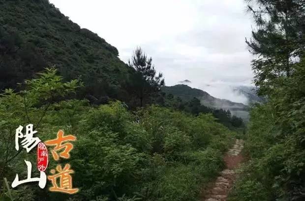 阳山古道徒步线路图片