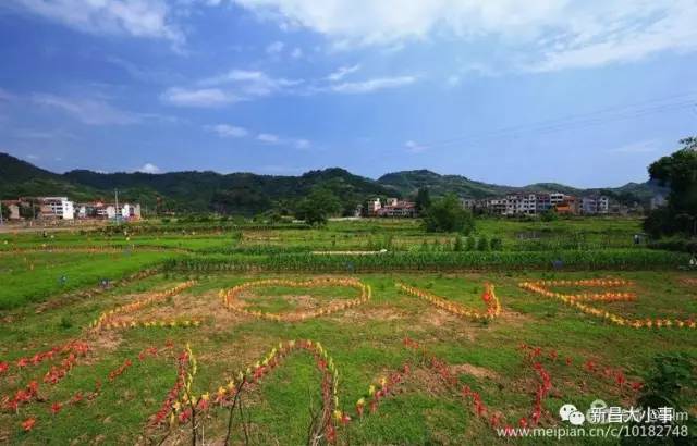 [新-鄉創]新昌又一個鄉村爆紅朋友圈