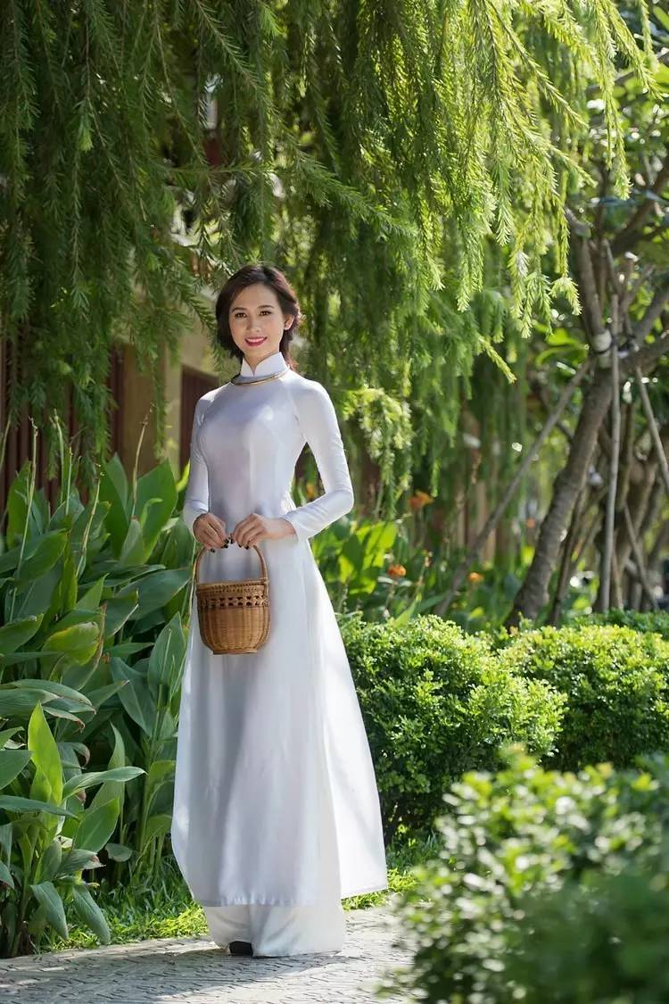 美丽的奥黛越南式旗袍