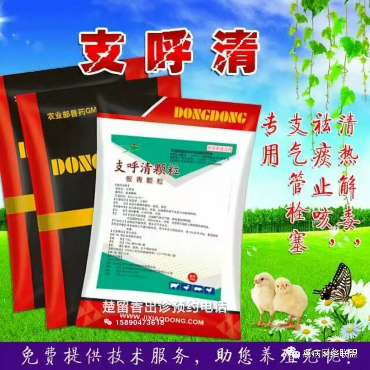 热灼津液为痰,热痰成栓堵塞气管,肺管—清热解毒,快速退热发病期间