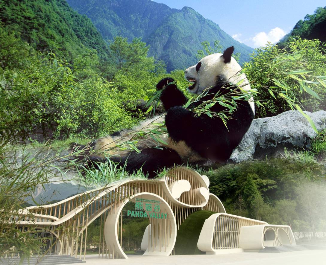 福州西湖熊猫世界图片