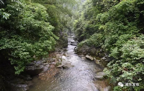 黃金谷黃忠寨位於廣寒寨鄉江山村,相傳因三國名將黃忠在此山安營紮寨