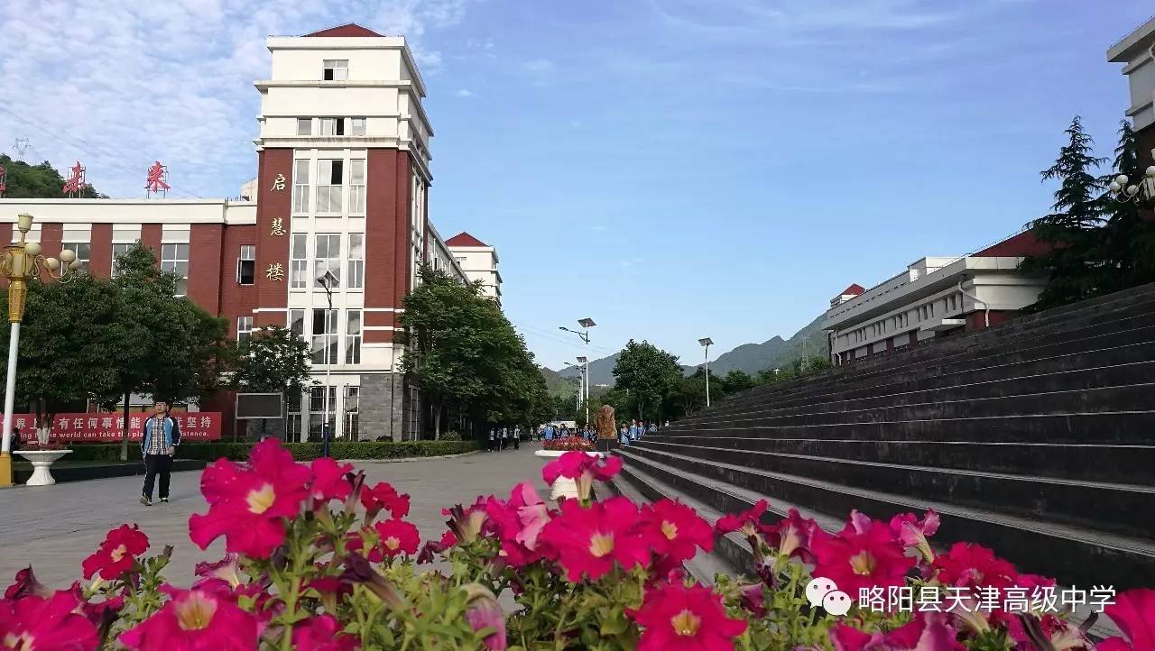 (略阳县天津高级中学转发)高三名师建议:高考如何赢在最后两周!