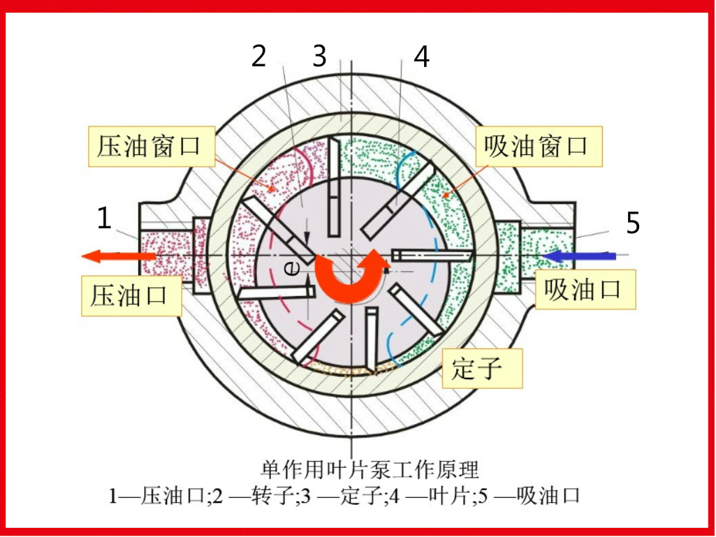 下图是单作用叶片泵的工作原理图.