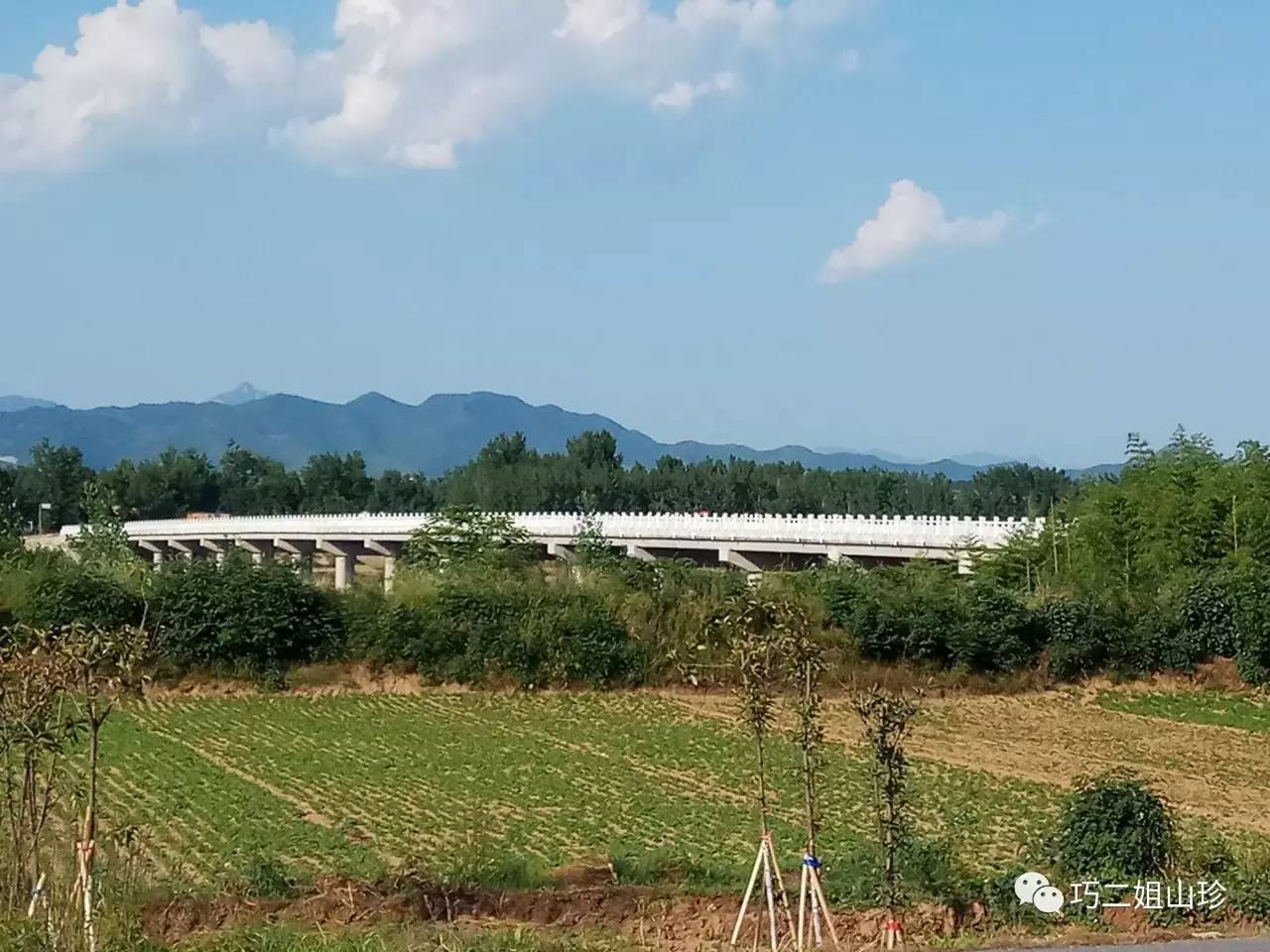 内乡新修大湍河大桥图片
