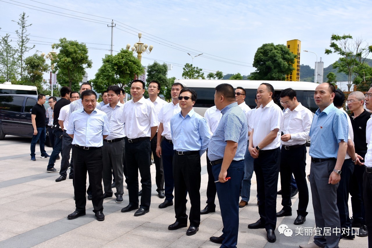 市,县,镇领导王军,黄荣定,郑建忠,黄锦耀,陈国苗,胡长虹,陈为来,陈