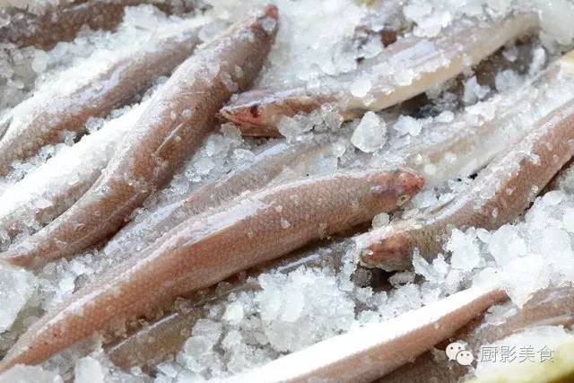 日本香魚野生長江刀魚野生長江河豚野生長江回魚野生緬甸黃魚野生三