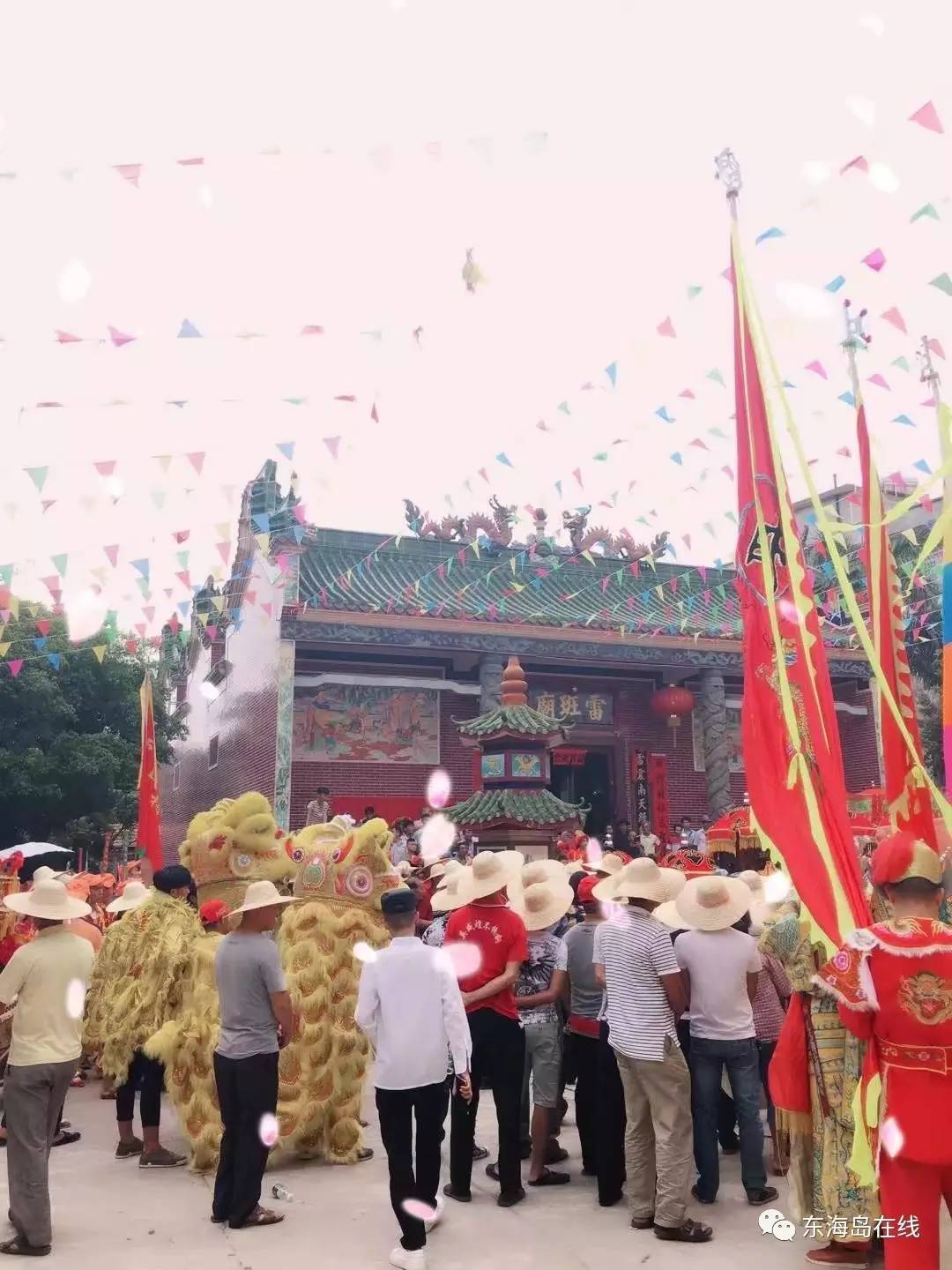 湛江东海岛老大图片