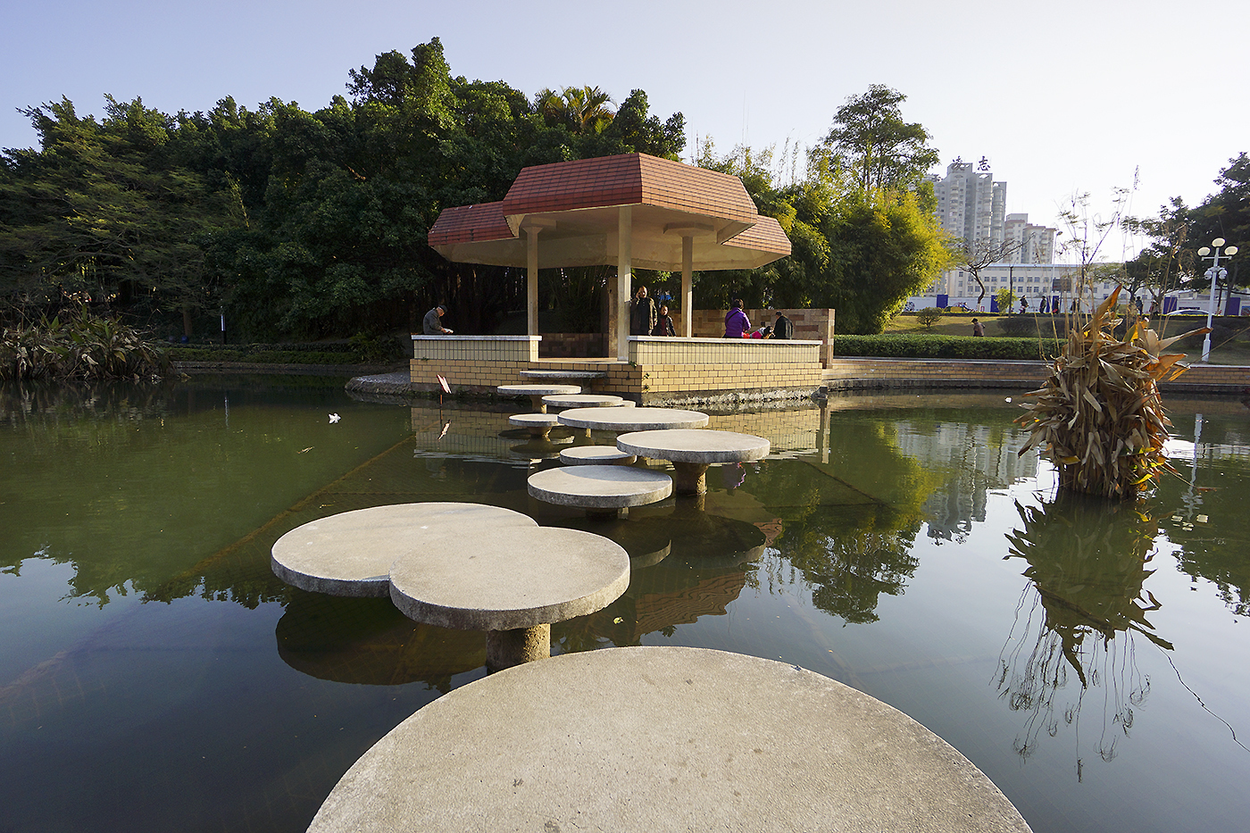 蓮花公園位於廈門思明區凌香味裡,處在繁華鬧市中的幽靜親水公園,附近