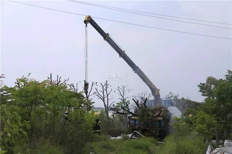 據現場電力工作人員介紹,該線路為10千伏高壓線,對地距離,警示標識