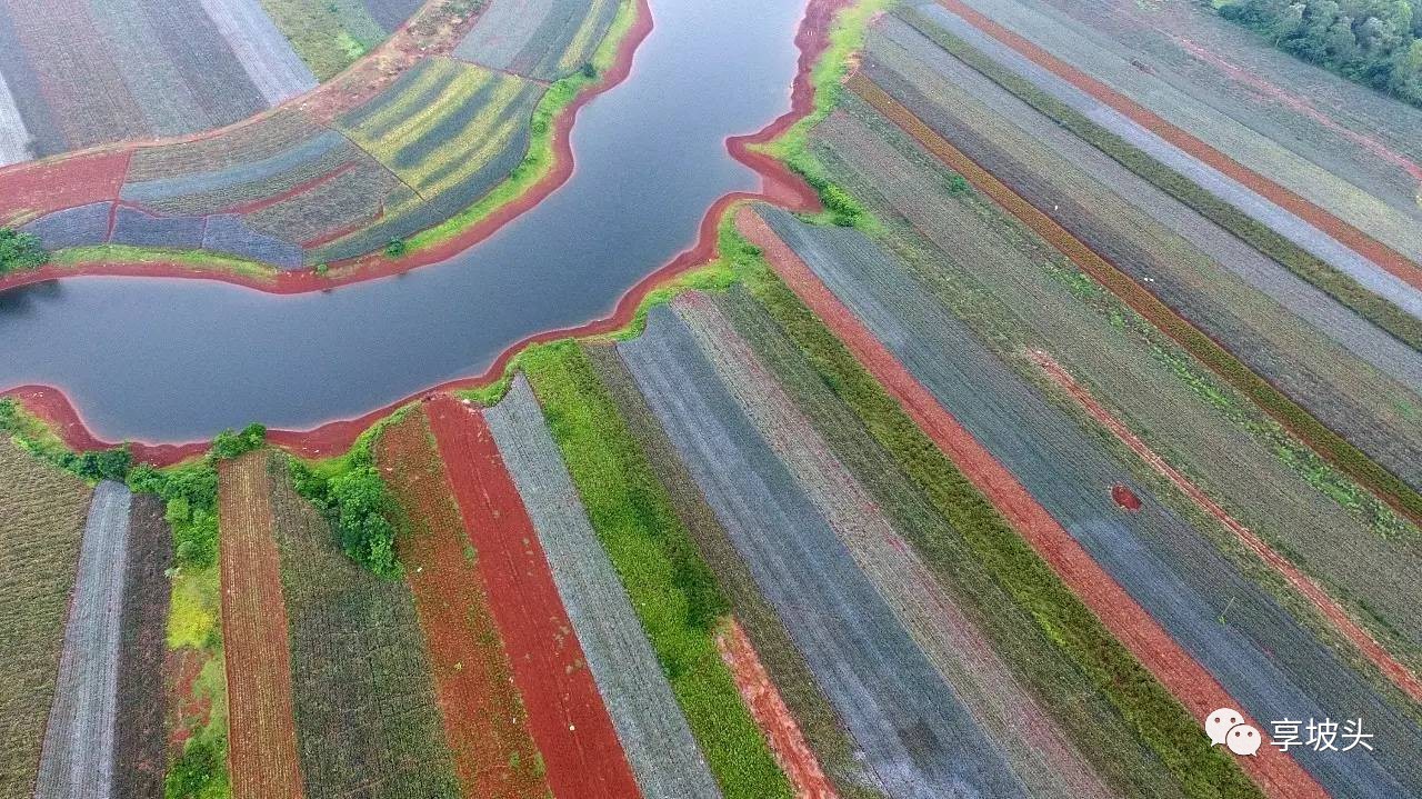 徐闻县波罗的海图片