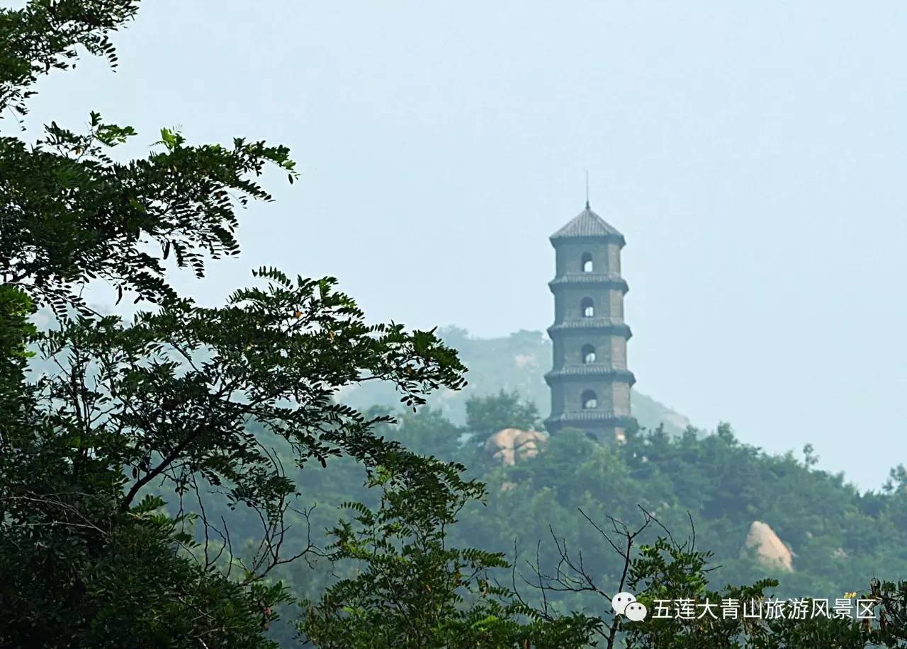 有一種過夏天,叫做端午節來大青山乘涼!