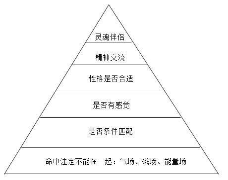 男女择偶金字塔图片