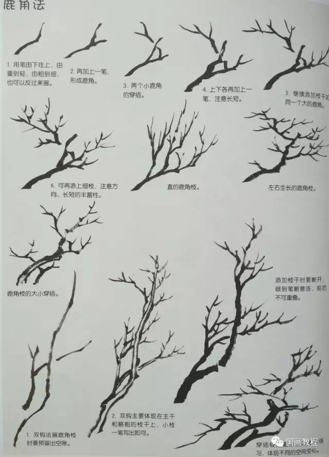 水墨画树干画法和步骤图片