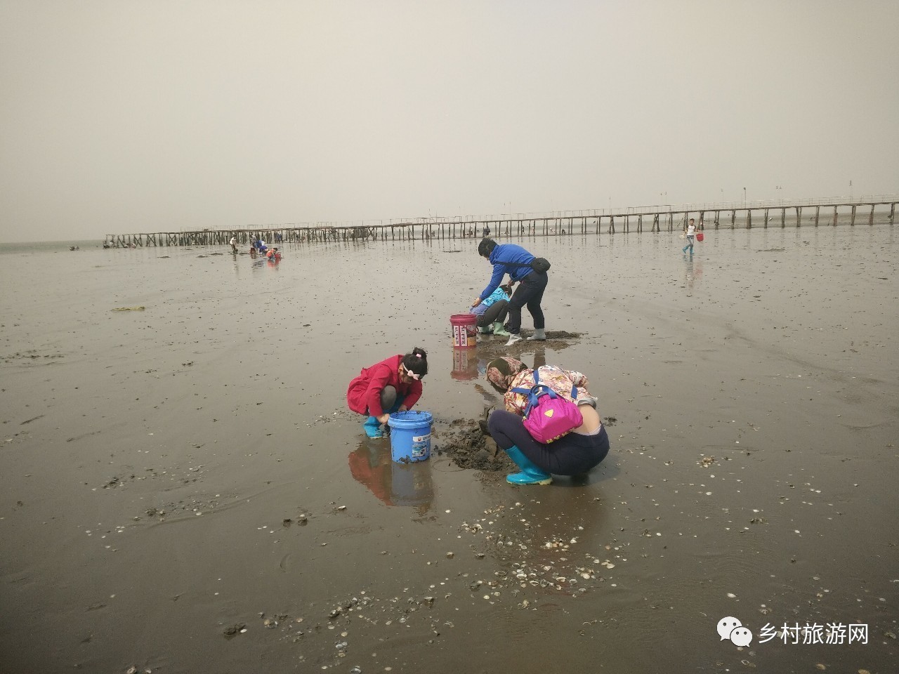 海风海浪海滩湿地迷宫鸟巢流连难忘的曹妃甸湿地挖蛤迷宫游