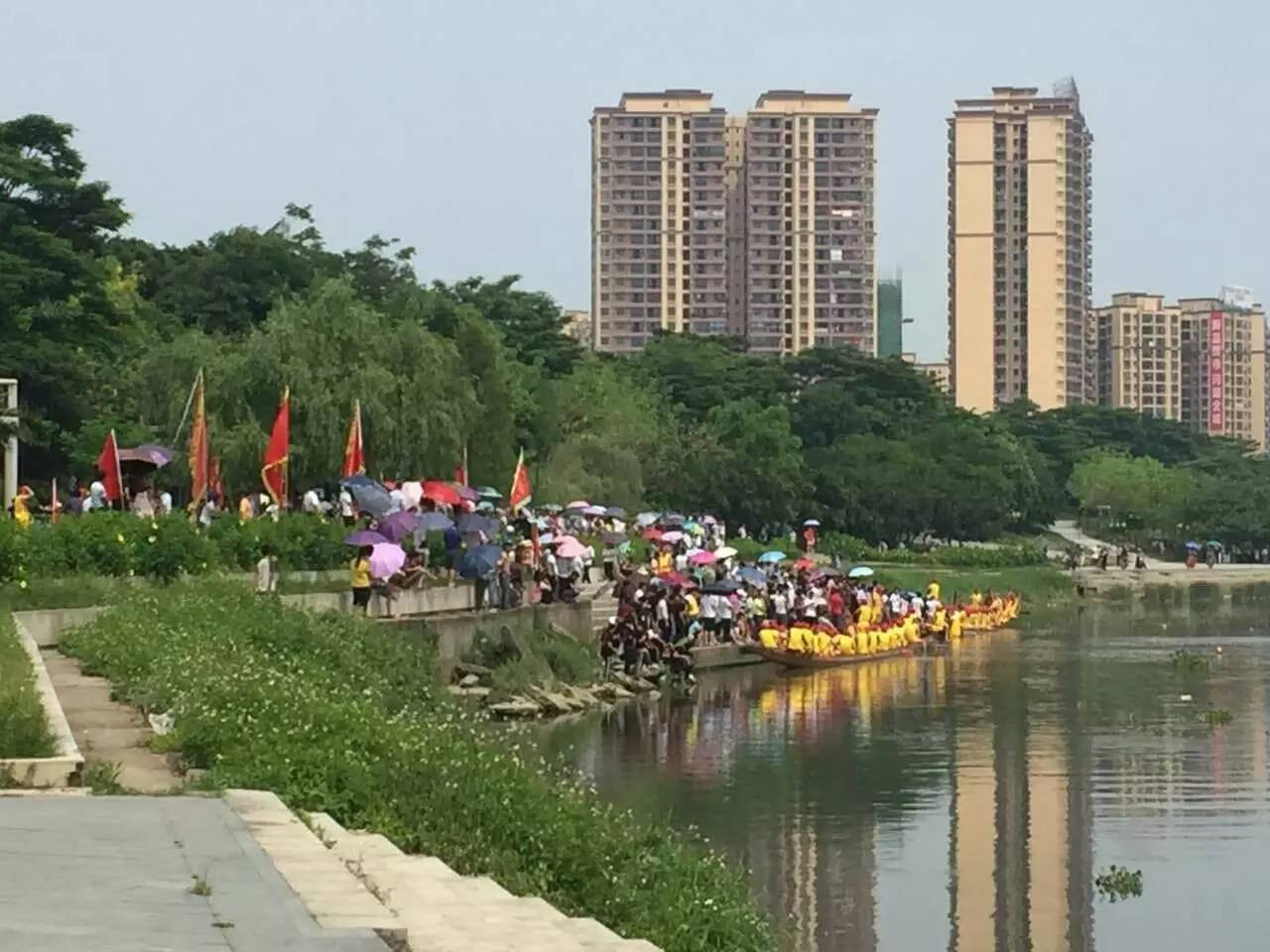 今日,石灣龍舟公園聚集了一大群觀眾