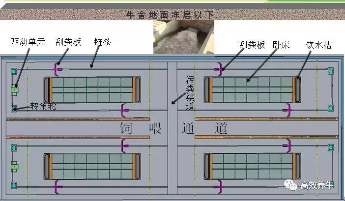 牛舍地面排尿坡度图片图片