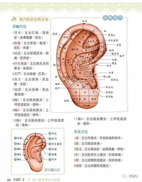 望诊法是通过肉眼观察耳廓皮肤上出现的色泽,形态改变,血管变化,丘疹