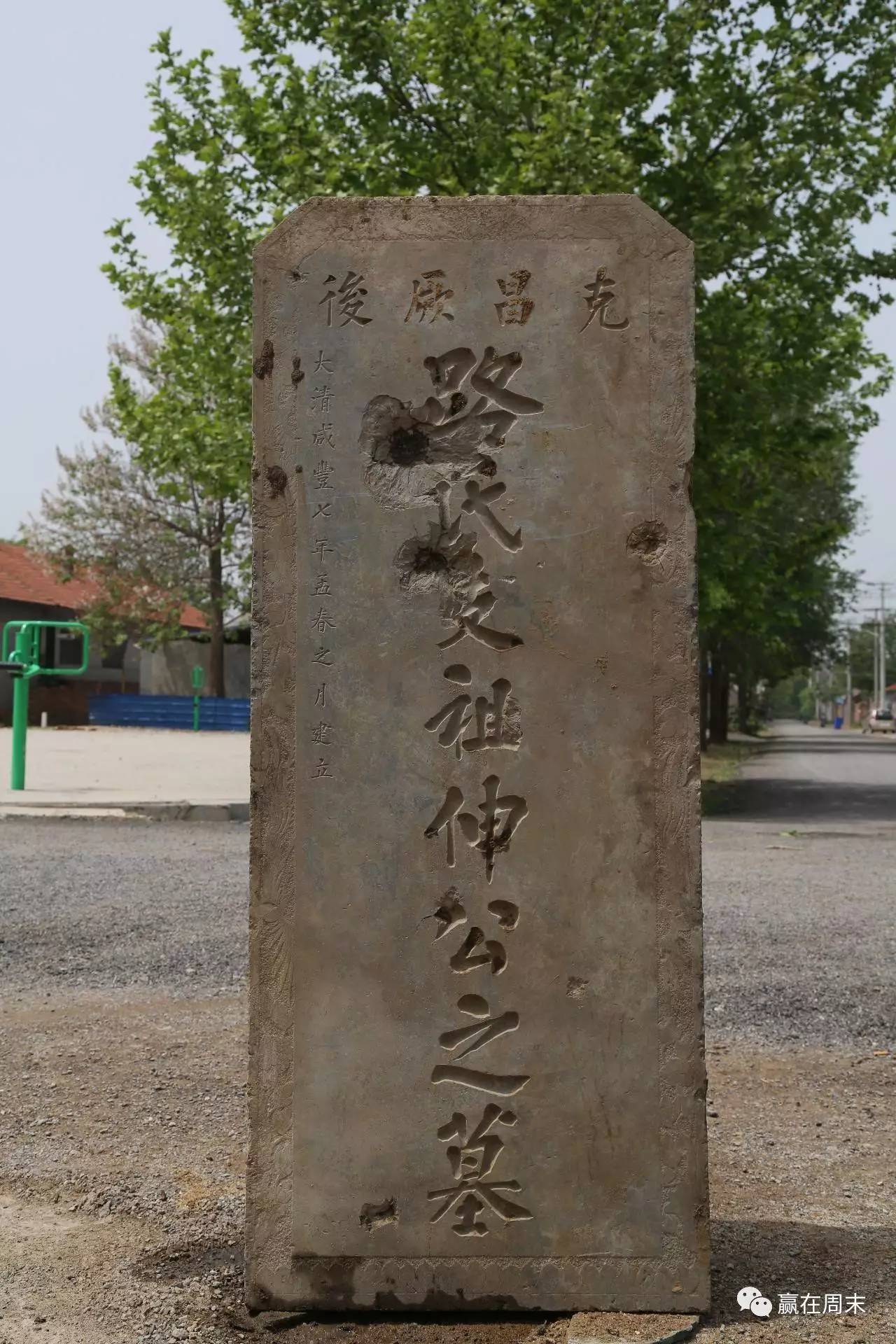 4,路伸墓碑和四株古松.