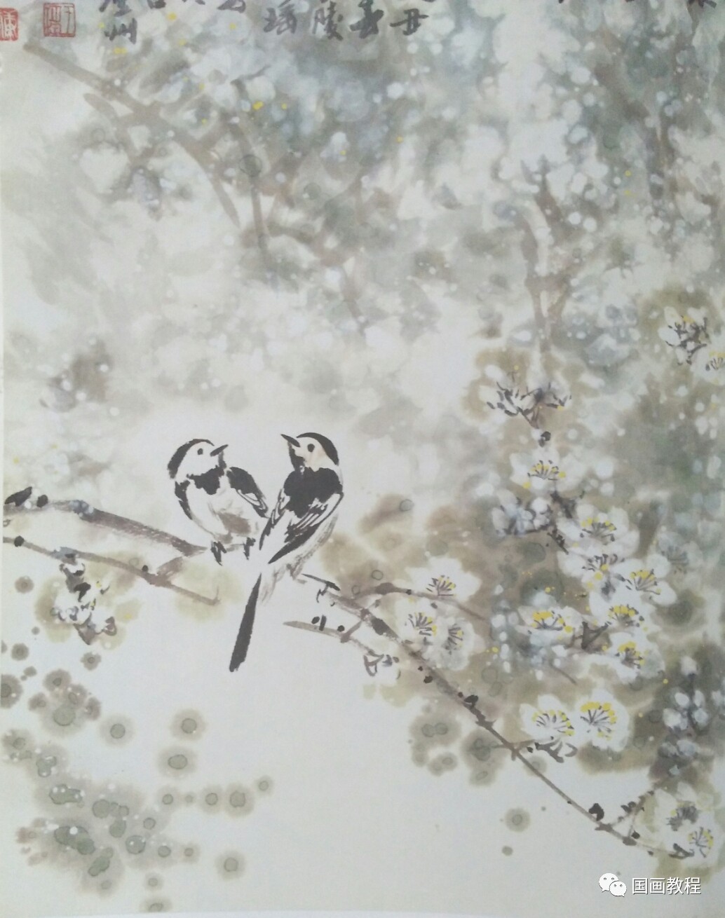 槐树和麻雀的画法图片