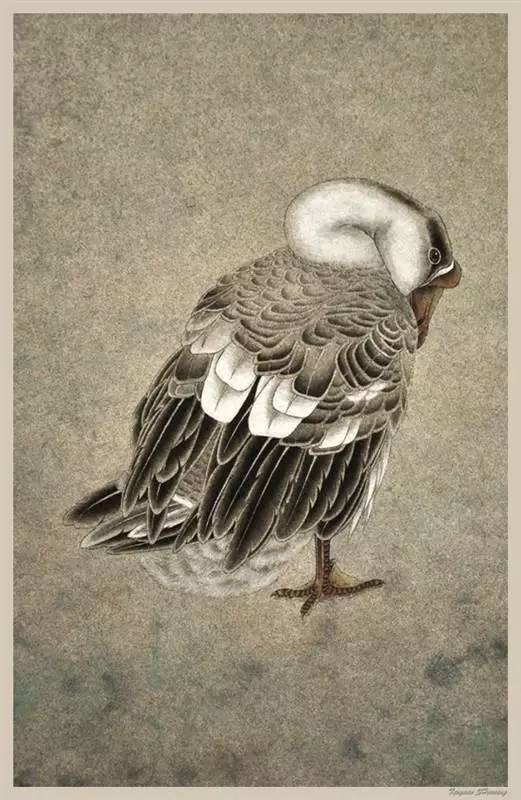 中国画鹅第一人图片
