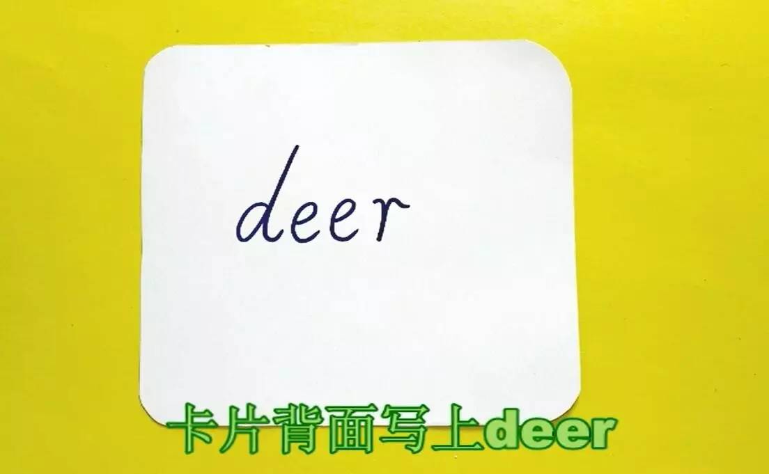 英语萌萌画梅花鹿deer