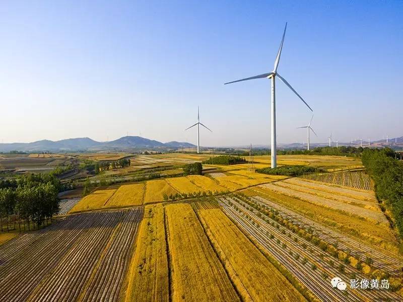 青岛西海岸大村镇初夏的大村阳光下的桃源你见过吗