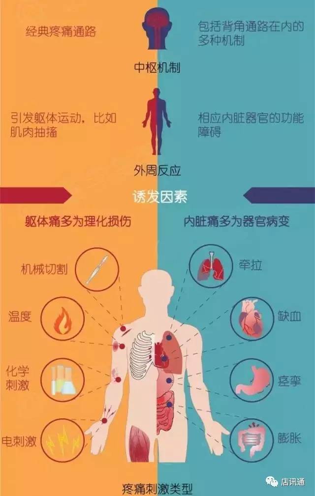 躯体痛 vs 内脏痛