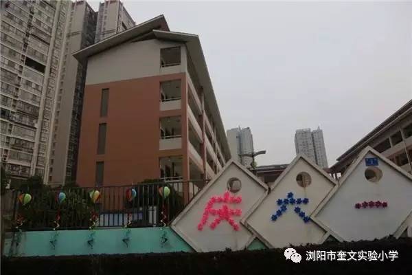 浏阳奎文小学图片