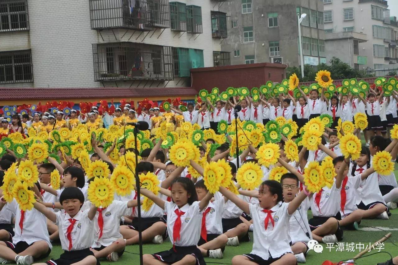 平潭城中小学校花图片