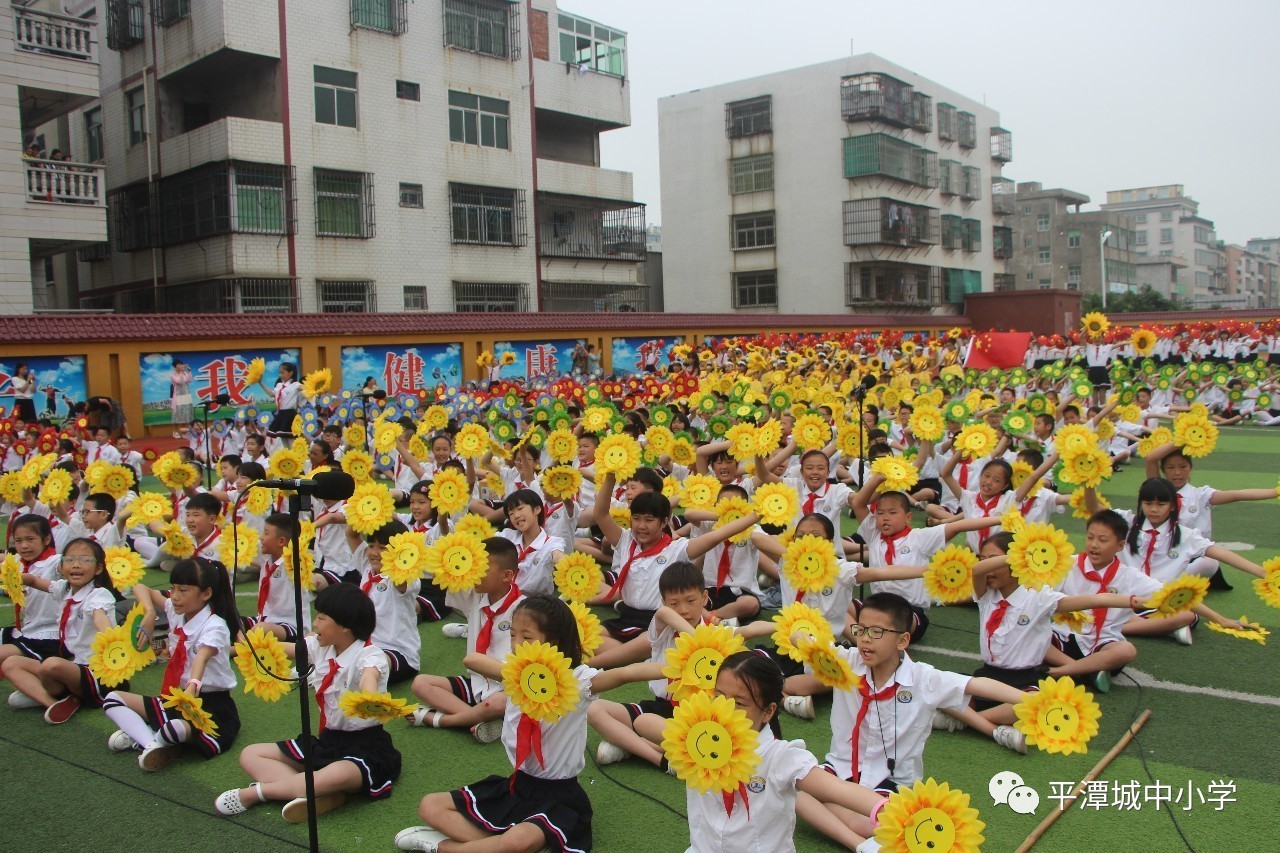 平潭城中小学校花图片