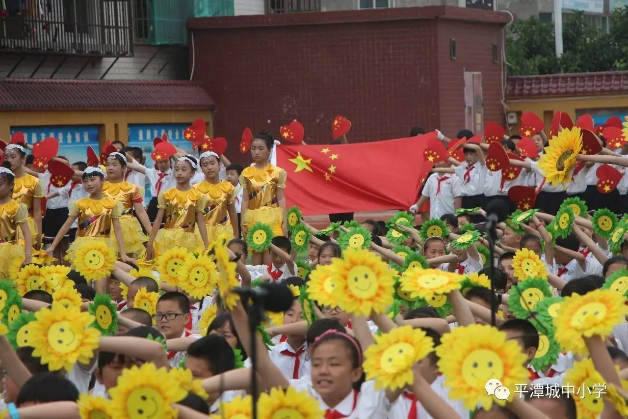 平潭城中小学校花图片