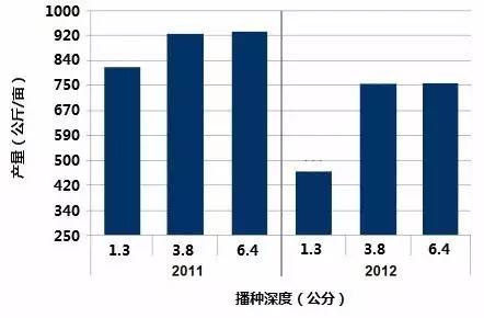 人口平均粮食产量_粮食产量图(3)