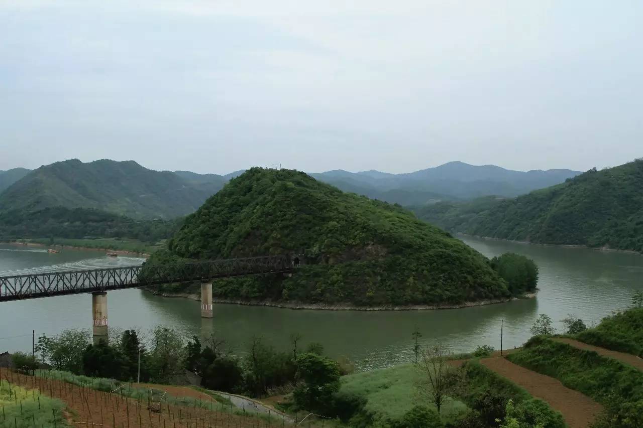 欄目組再次來到西鄉,馬不停蹄前往峽口鎮江塝茗園,柳樹鎮豐河茶園,堰