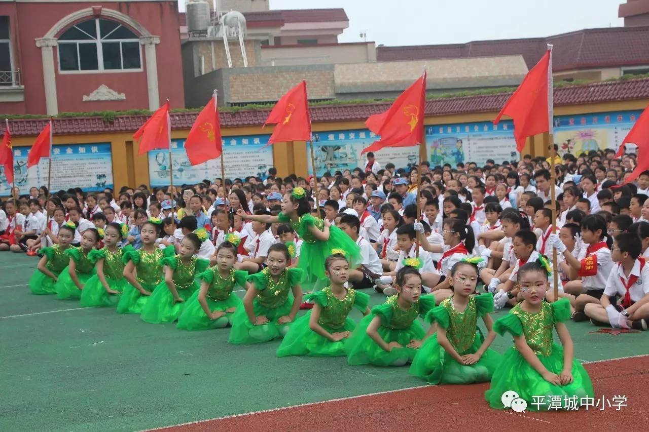 平潭城中小学校花图片