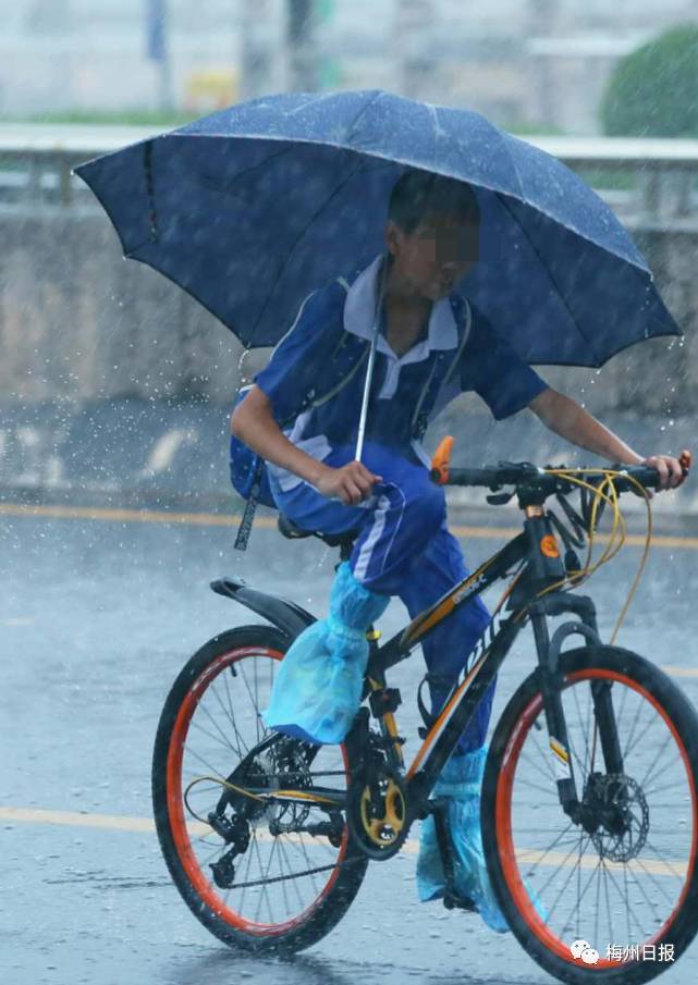 暴雨中,学生哥骑着自行车艰难前行(吴腾江 摄)