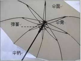 伞柄结构图片