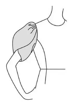 领口到袖窿下方加入斜向分割线,使衣片肩部和袖子连成完整结构的袖型
