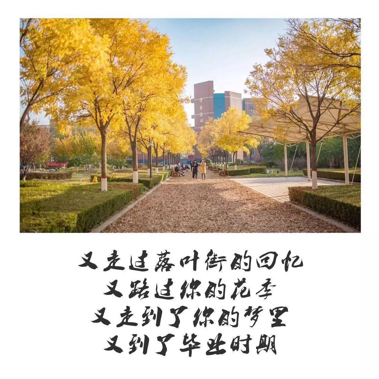 那些年,無比盼望著畢業 可現在,無比懷念那些年 尚未佩妥劍,轉眼便