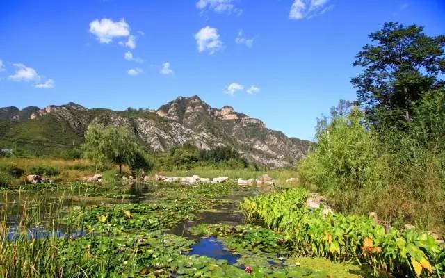 门头沟王平湿地公园图片